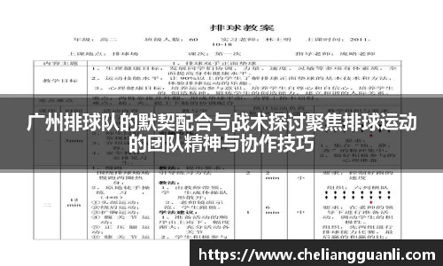 广州排球队的默契配合与战术探讨聚焦排球运动的团队精神与协作技巧
