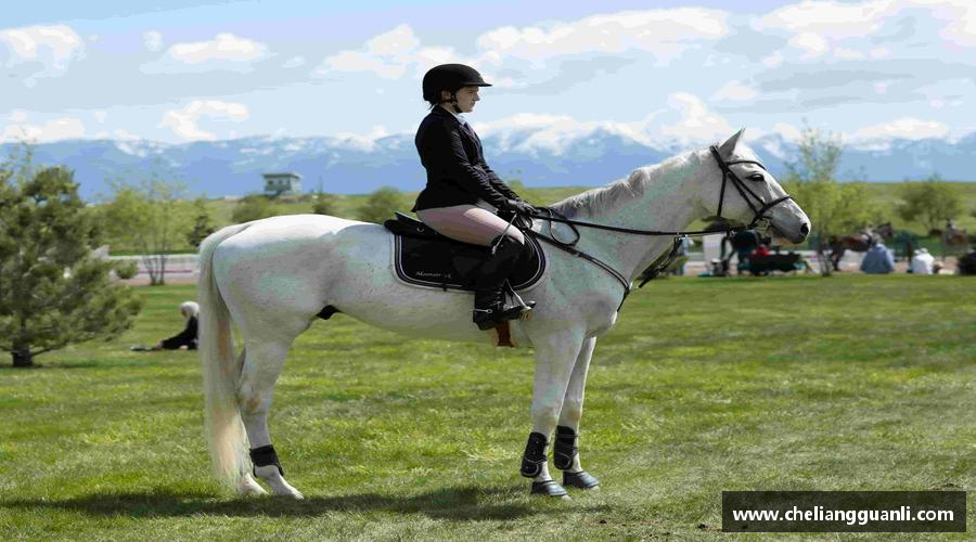 ballbet贝博BB艾弗森热血奔跑，青春绽放